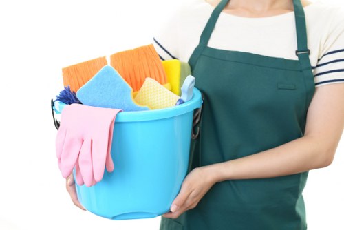 Professional upholstery cleaning in a West Hendon living room