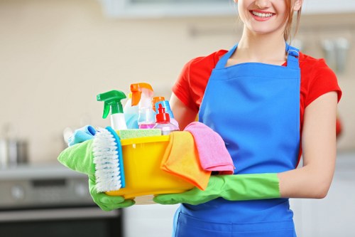 Professional carpet cleaning in a West Hendon home