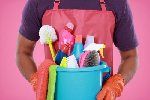 West Hendon Carpet Cleaners professional carpet care introduction