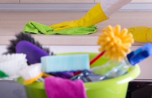Professional carpet cleaners assessing carpet fibre and stain treatment
