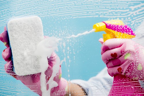 Specialist cleaner treating a stubborn pet stain in West Hendon