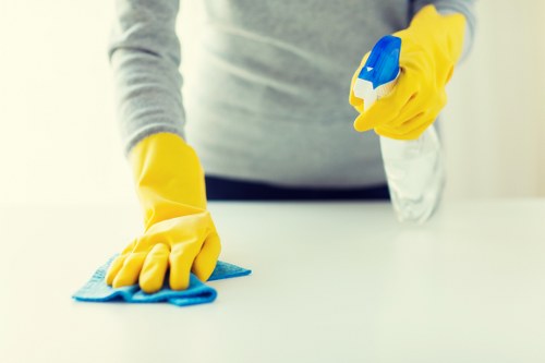 Carpet and fabric stain treatment in a West Hendon home