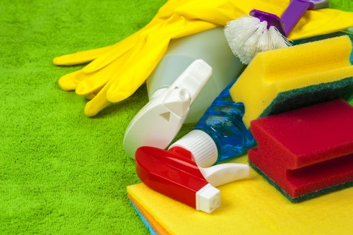 Carpet cleaning setup for removing pet stains and smells in West Hendon