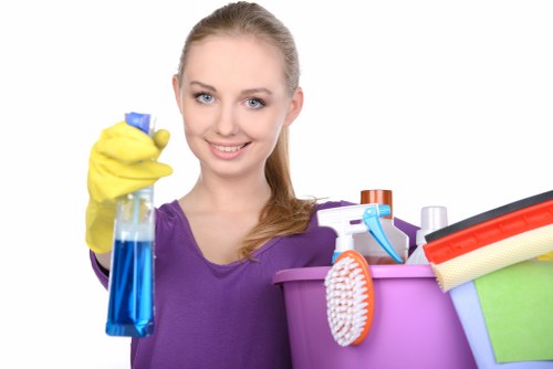 Stain removal and carpet maintenance in a West Hendon office