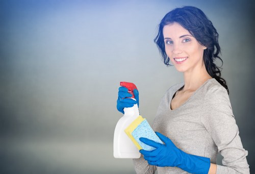 Deep cleaning a stained carpet in a West Hendon property